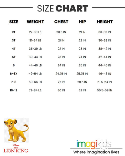 Lion King 2 Pack T-Shirts - imagikids