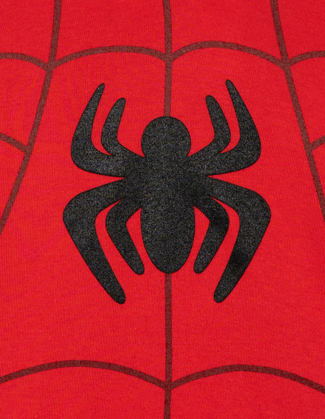 Marvel Spidey and His Amazing Friends Red Blue