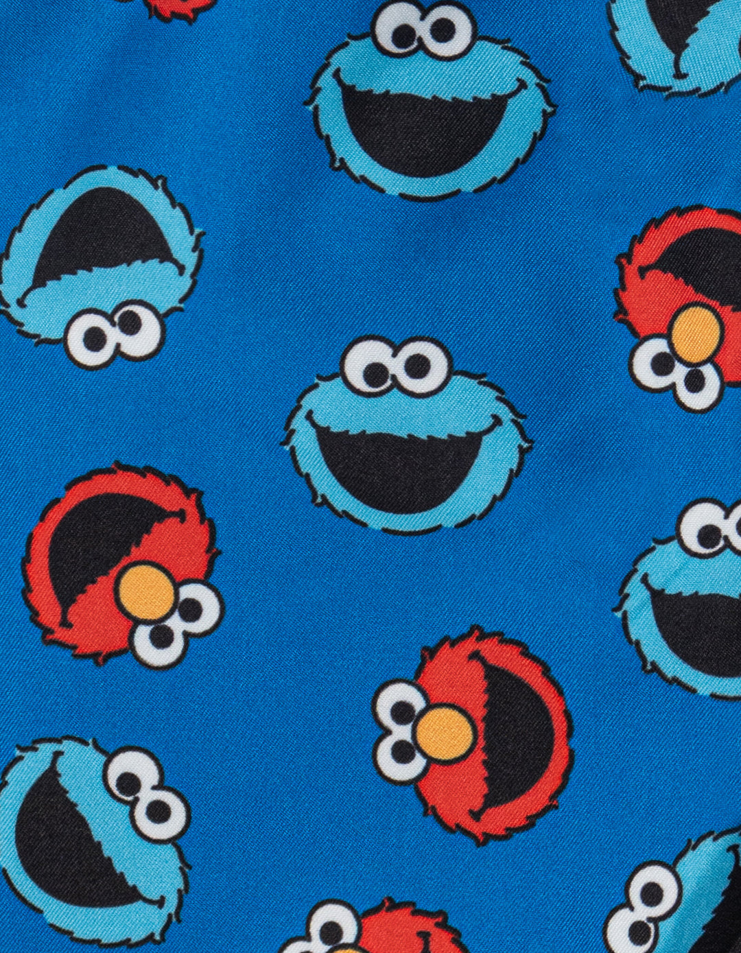 Sesame Street 2-Piece Swimwear Rash Guard and Swim Trunks Set Elmo Red Blue