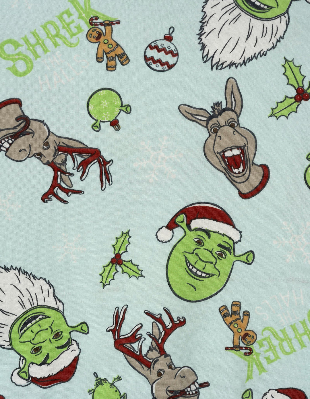 Shrek Boys' Holiday Fleece Pullover Sweatshirt Aqua Donkey