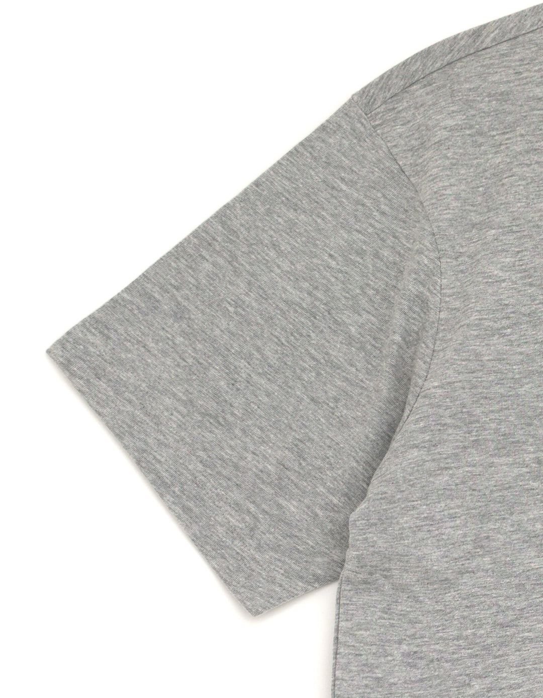 Godzilla Adult Men or Women Short Sleeve T-Shirt Medium Heather Grey
