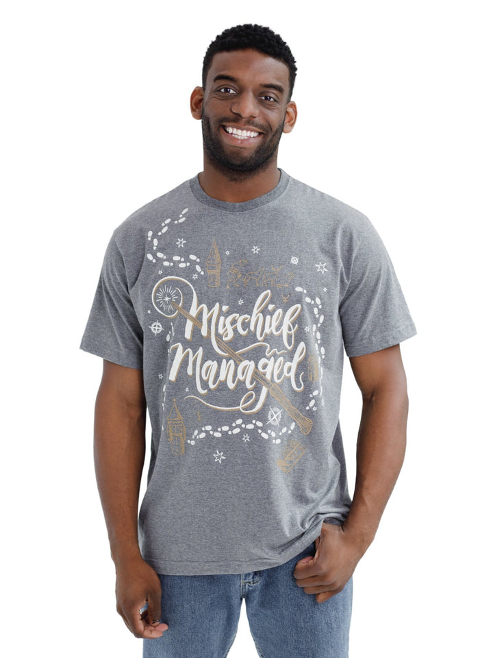 Harry Potter Men's Short Sleeve Graphic T-Shirt Charcoal Heather