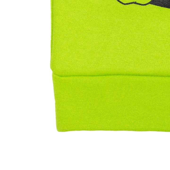 Teenage Mutant Ninja Turtles Michelangelo Boys' Fleece Pullover Hoodie Green