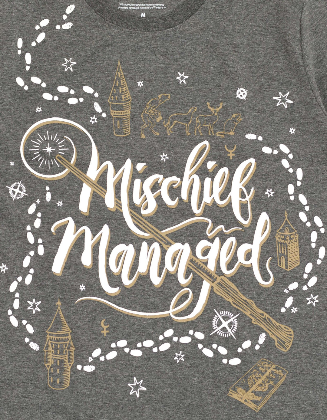 Harry Potter Women's Short Sleeve Graphic T-Shirt Dark Charcoal