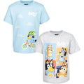 Pack de 2 camisetas azuladas