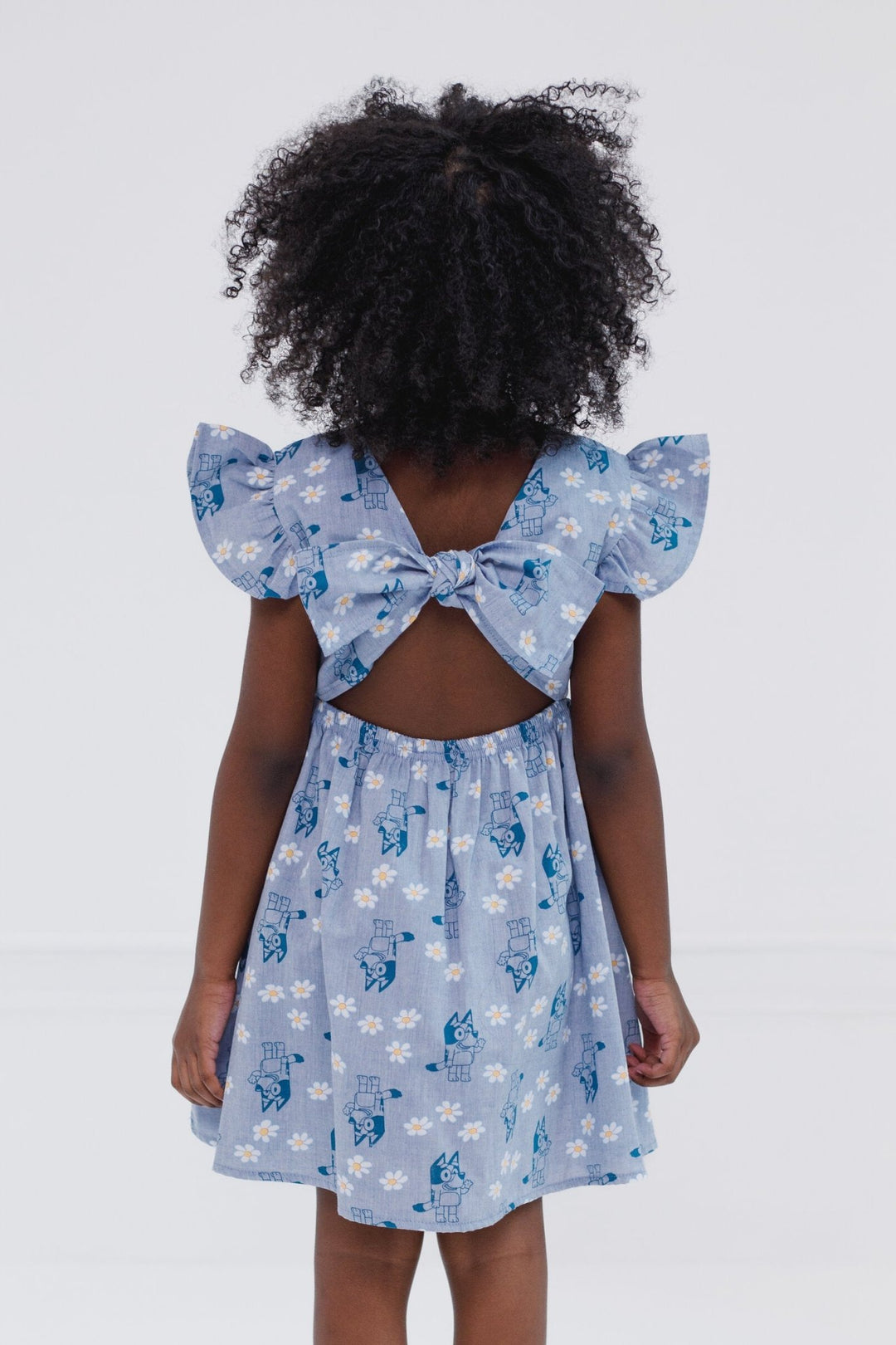 Bluey Chambray Skater Dress - imagikids