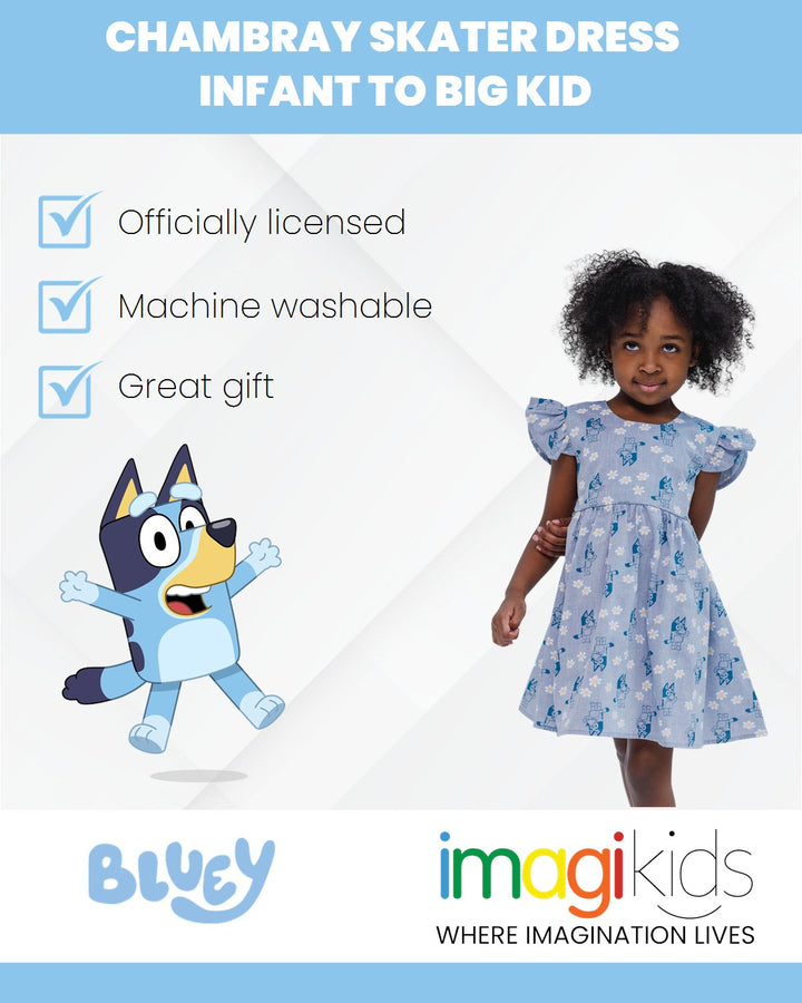 Bluey Chambray Skater Dress - imagikids