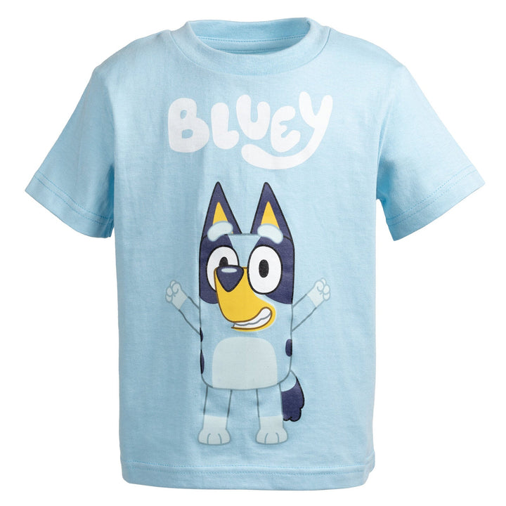 Bluey Matching Family T - Shirt - imagikids