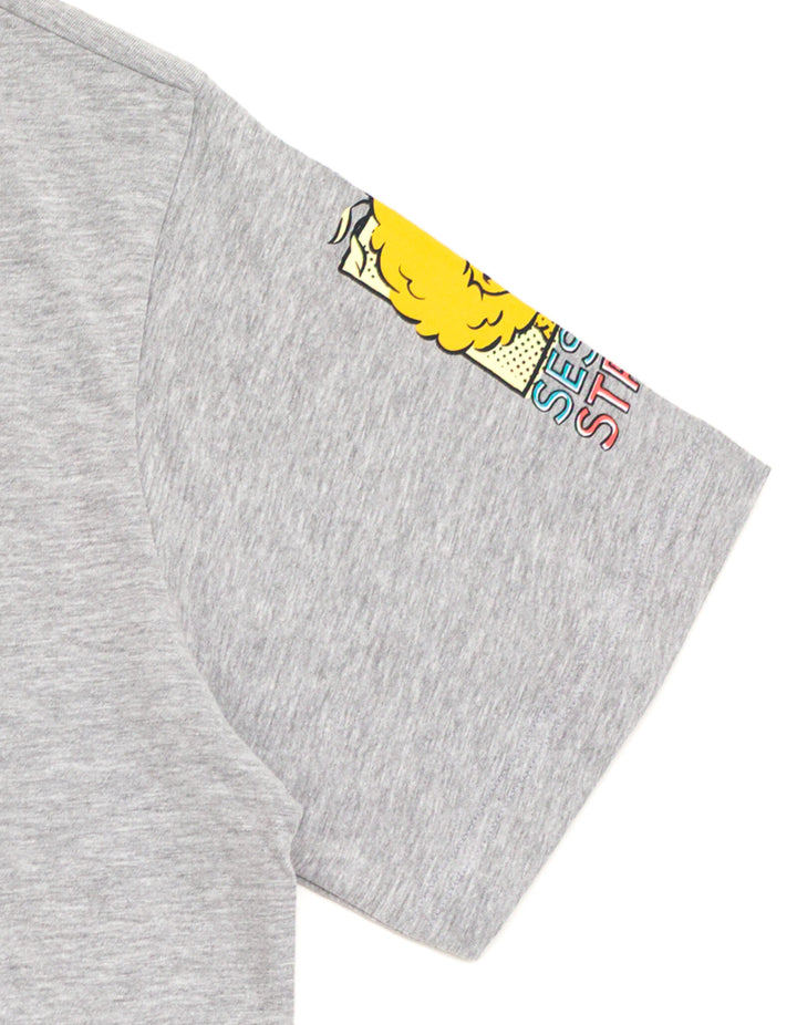 Sesame Street Big Bird Crewneck Short Sleeve T-Shirt Heather Grey