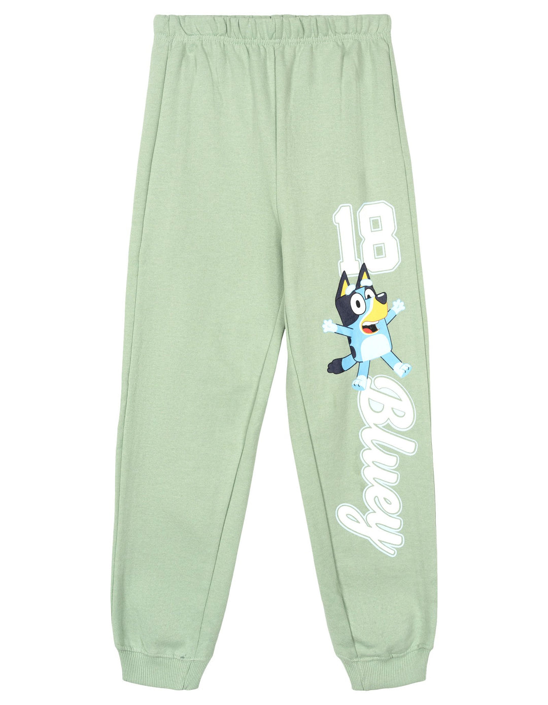 Bluey Boys' 2-Piece Fleece Sweatshirt and Pants Set Seafoam Bingo