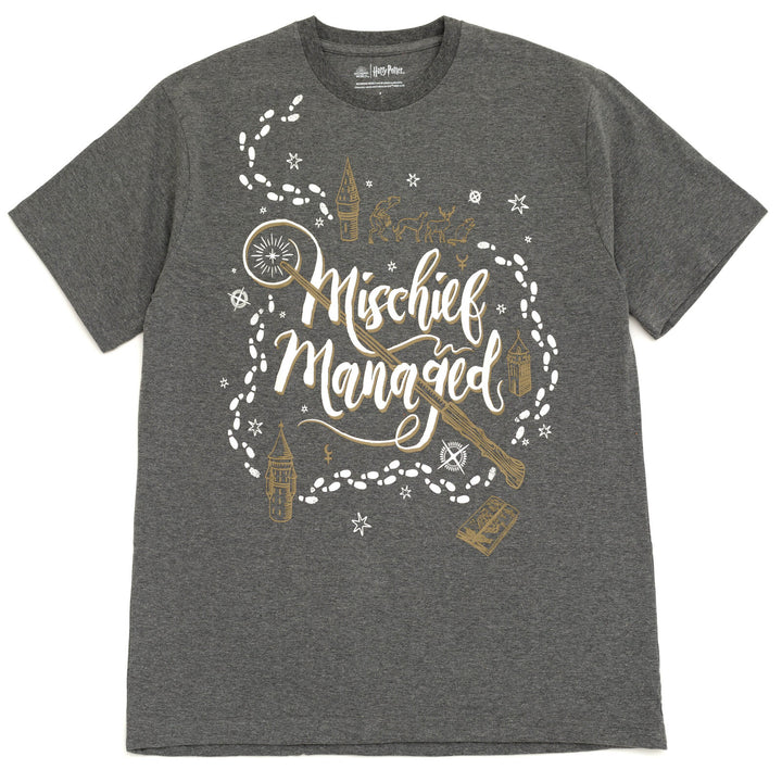 Harry Potter Men's Short Sleeve Graphic T-Shirt Charcoal Heather