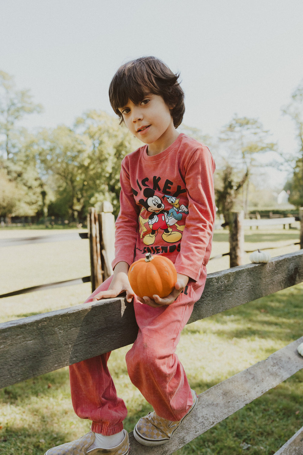 2_278927_17b5214f-74e8-4ffb-9ccf-52794f922429