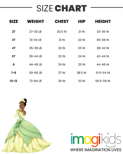 Disney Princess Princess Tiana T-Shirt Tulle Mesh Skirt and Scrunchie 3 Piece Outfit Set - imagikids