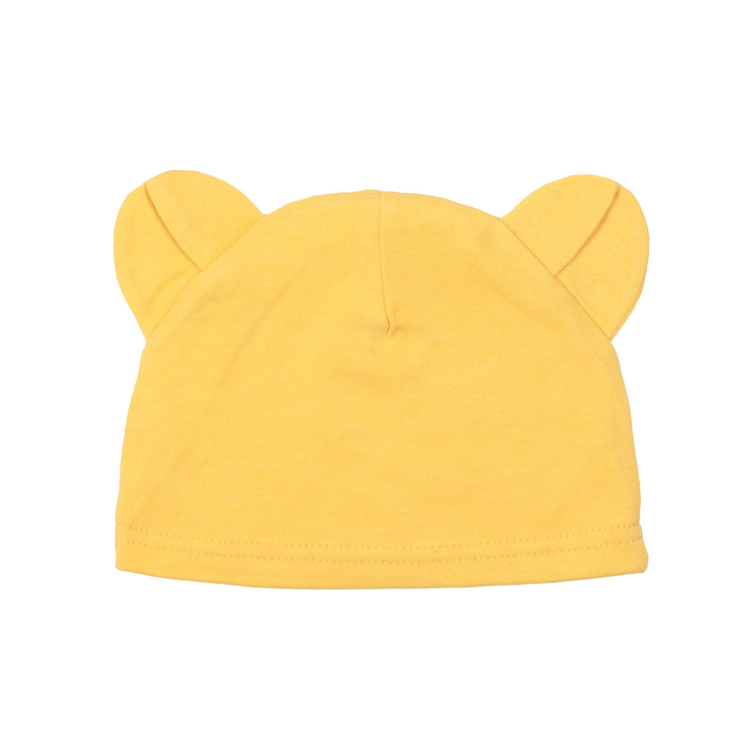 Winnie the Pooh 4 Piece Outfit Set: Bodysuit Pants Bib Hat