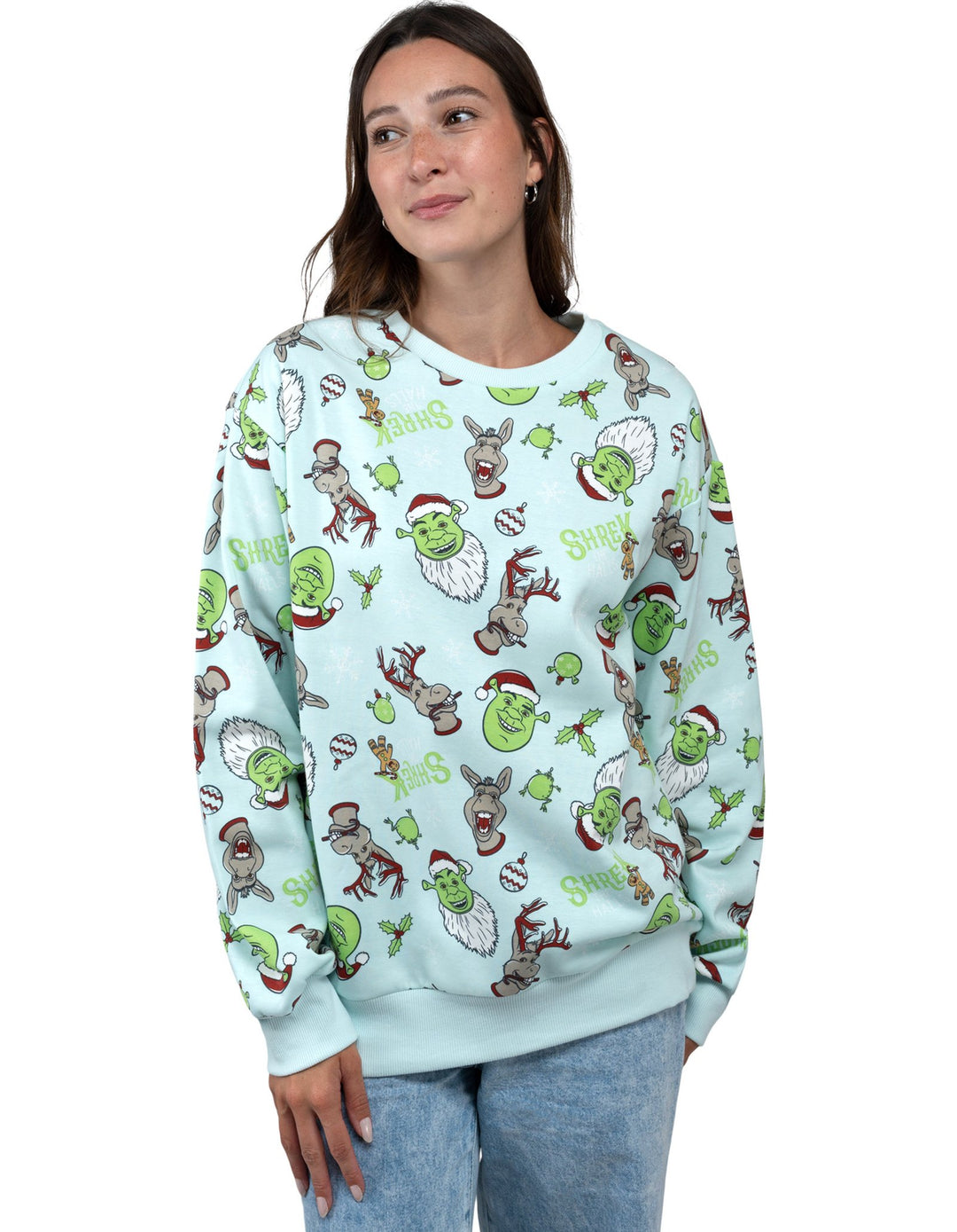 Shrek Adult Men or Women Holiday Fleece Pullover Sweatshirt Sky Blue Donkey