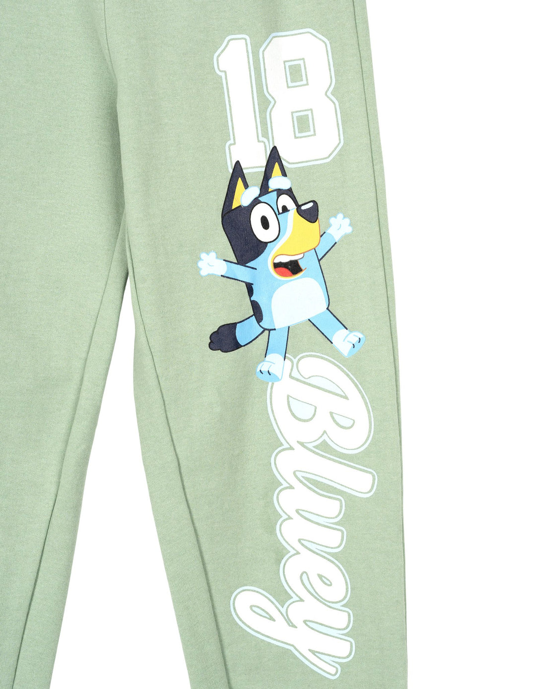 Bluey Boys' 2-Piece Fleece Sweatshirt and Pants Set Seafoam Bingo