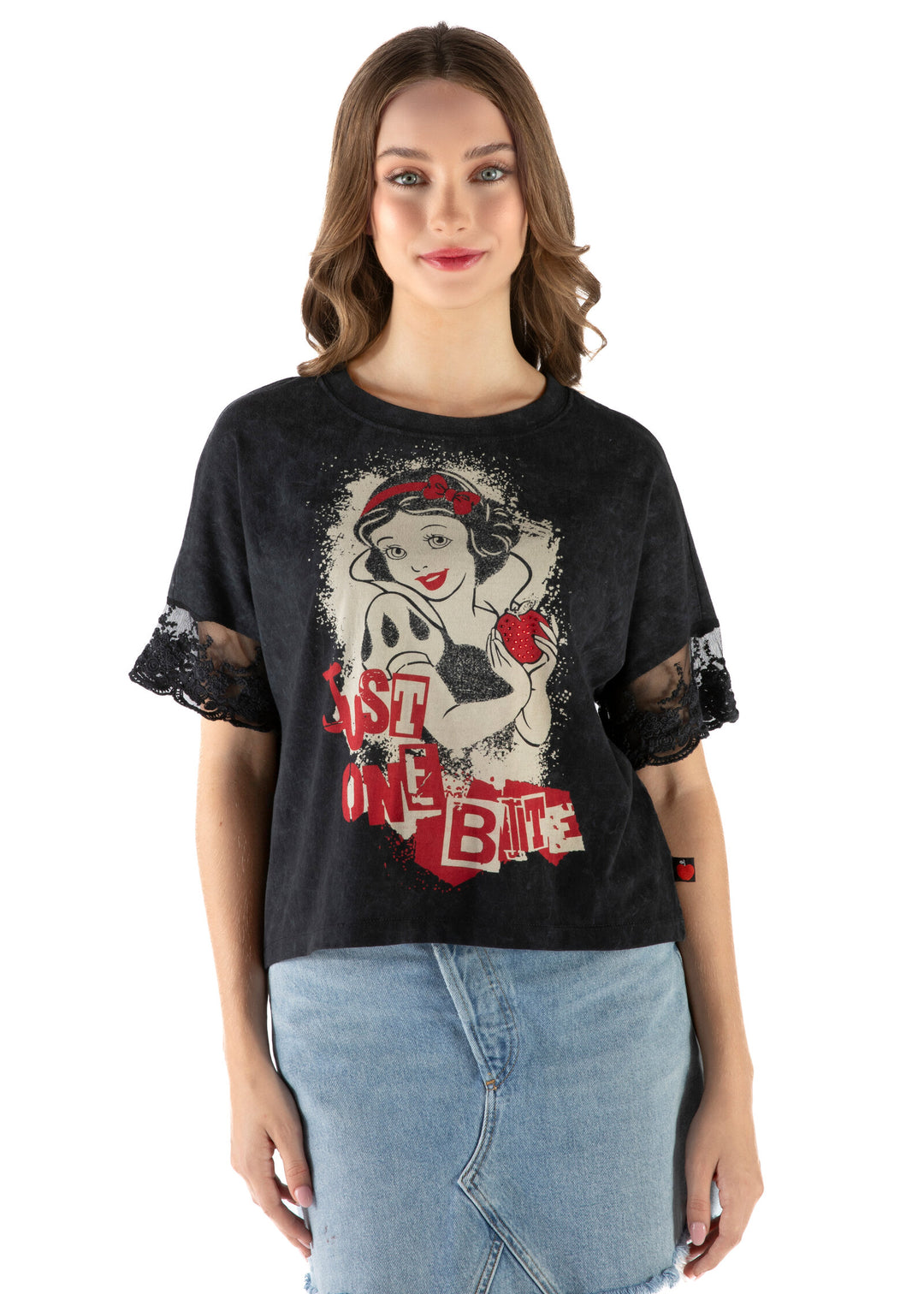 Disney Snow White Women's Short Sleeve T-Shirt Grey Wash