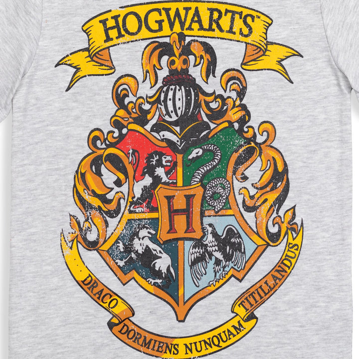 Paquete de 3 Harry Potter Camiseta gráfica