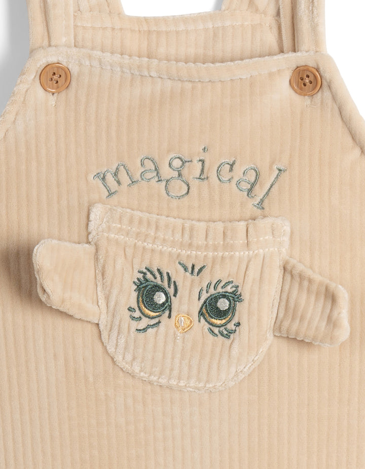 4_284797_329bcdfe-1efa-407e-92ad-5faa18ca48aa