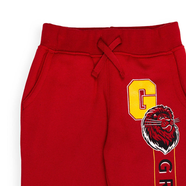 Harry Potter Fleece 2 Pack Jogger Pants - imagikids