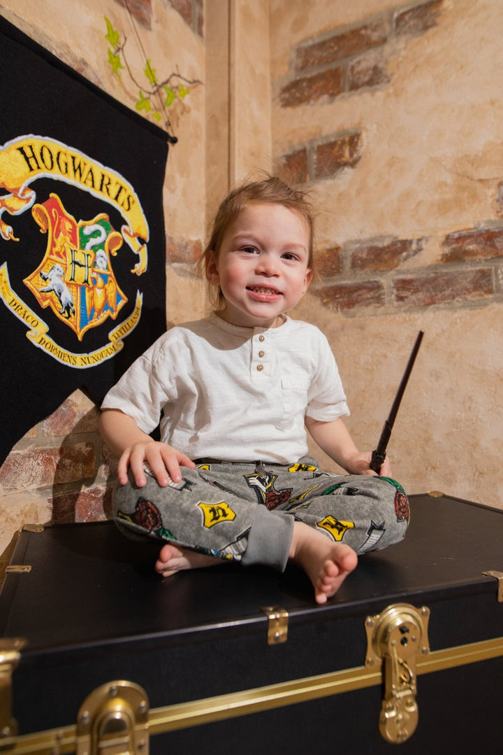 Harry Potter Fleece 2 Pack Jogger Pants - imagikids