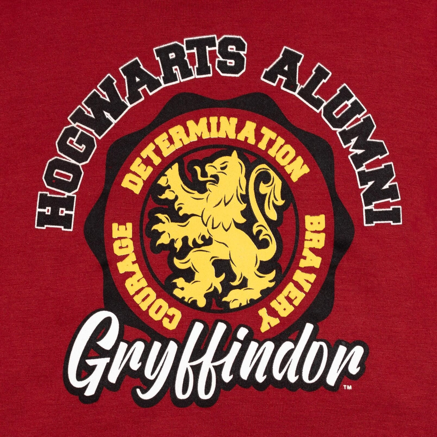 Harry Potter Gryffindor Fleece Pullover Hoodie - imagikids