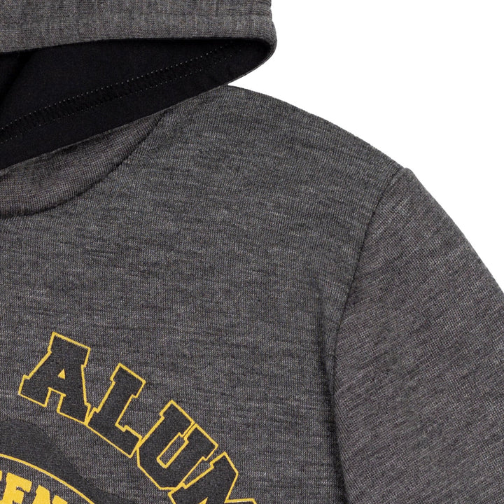 Harry Potter Hufflepuff Fleece Pullover Hoodie - imagikids