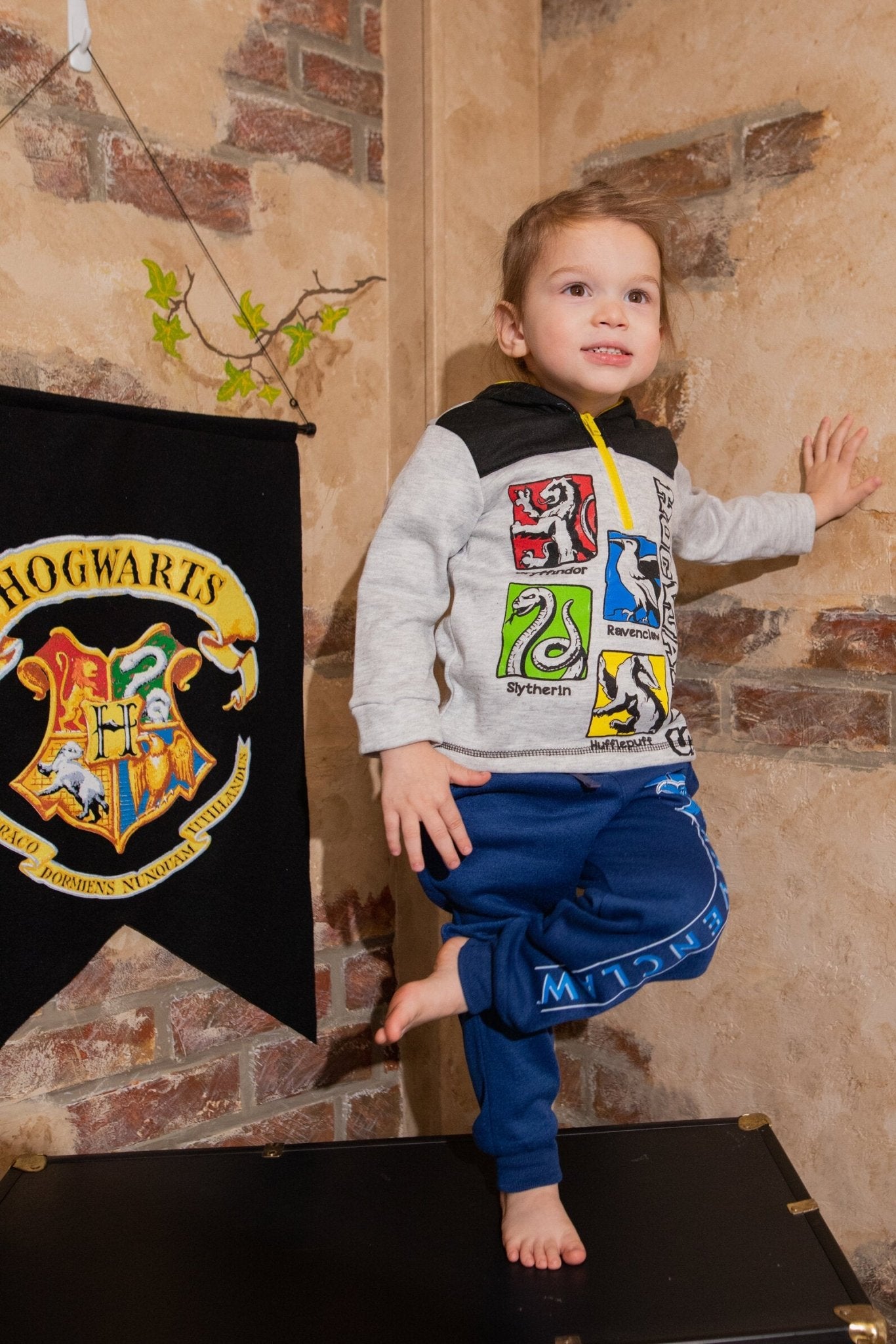 Harry Potter Ravenclaw Fleece 2 Pack Pants - imagikids