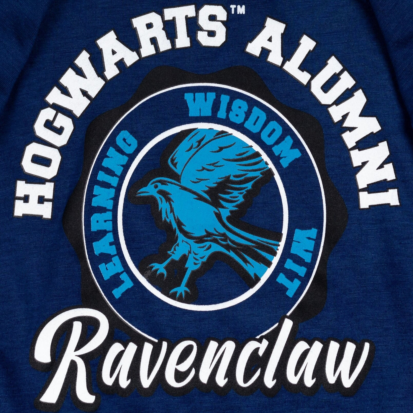 Harry Potter Ravenclaw Fleece Pullover Hoodie - imagikids