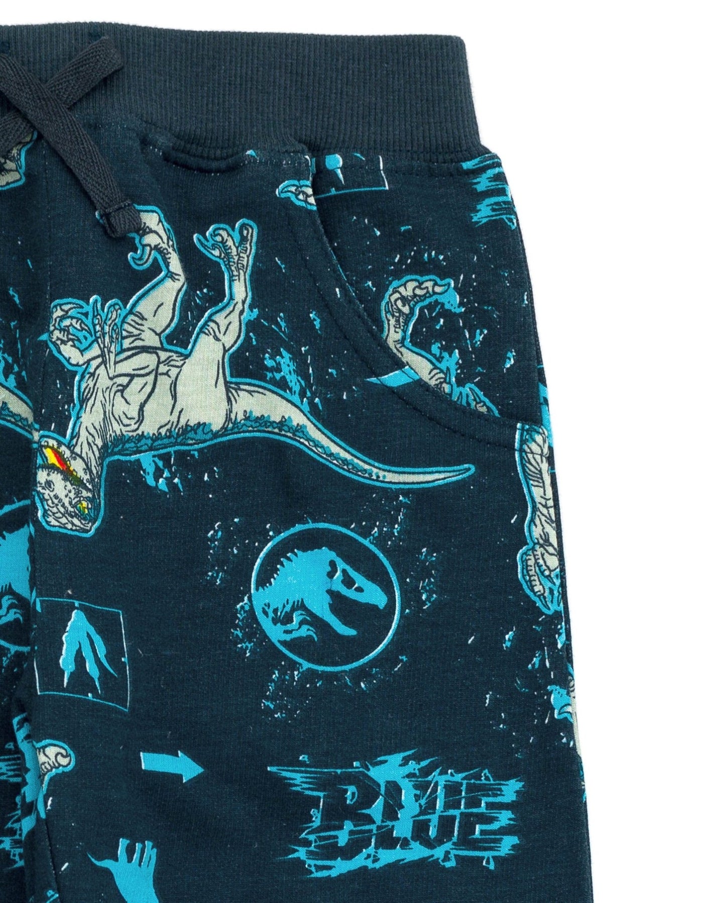 Jurassic World Jurassic Park Blue (Dinosaur) French Terry Sweatshirt and Jogger Pants Set - imagikids