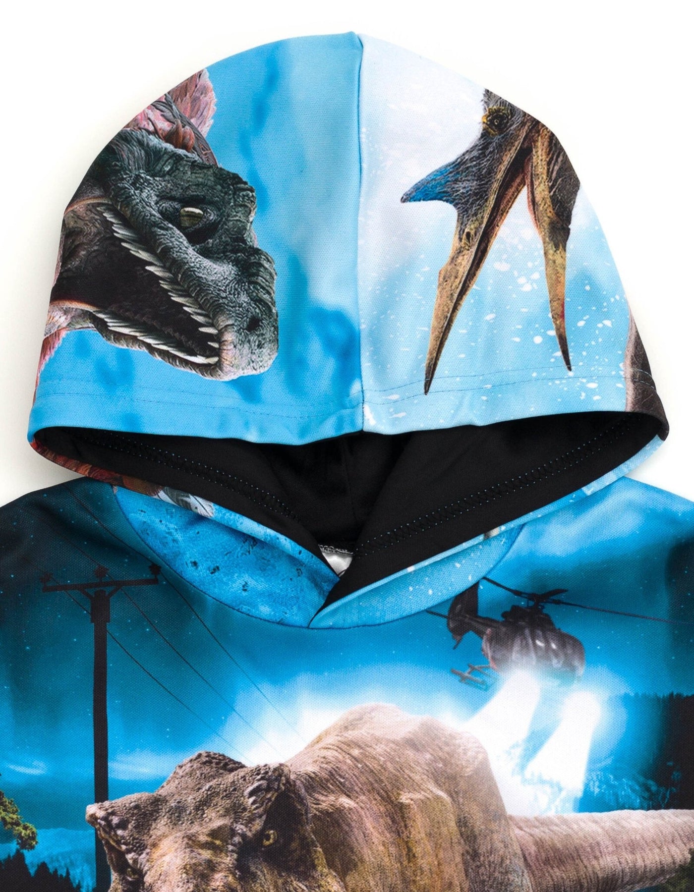Jurassic World Jurassic Park Fleece Pullover Hoodie - imagikids