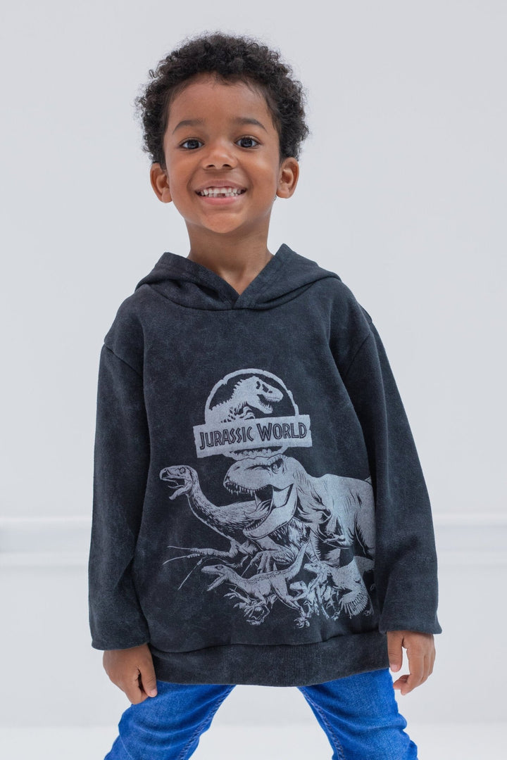 Jurassic World Park Fleece Pullover Hoodie - imagikids