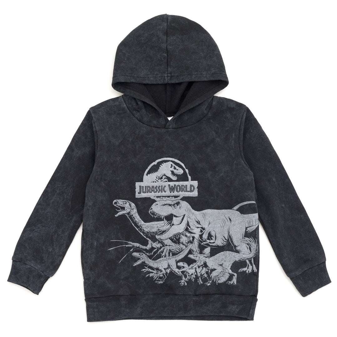 Jurassic World Park Fleece Pullover Hoodie - imagikids