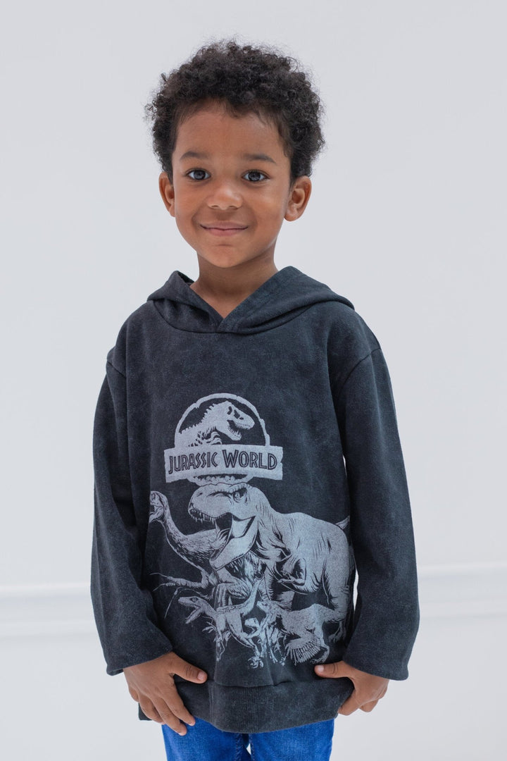 Jurassic World Park Fleece Pullover Hoodie - imagikids