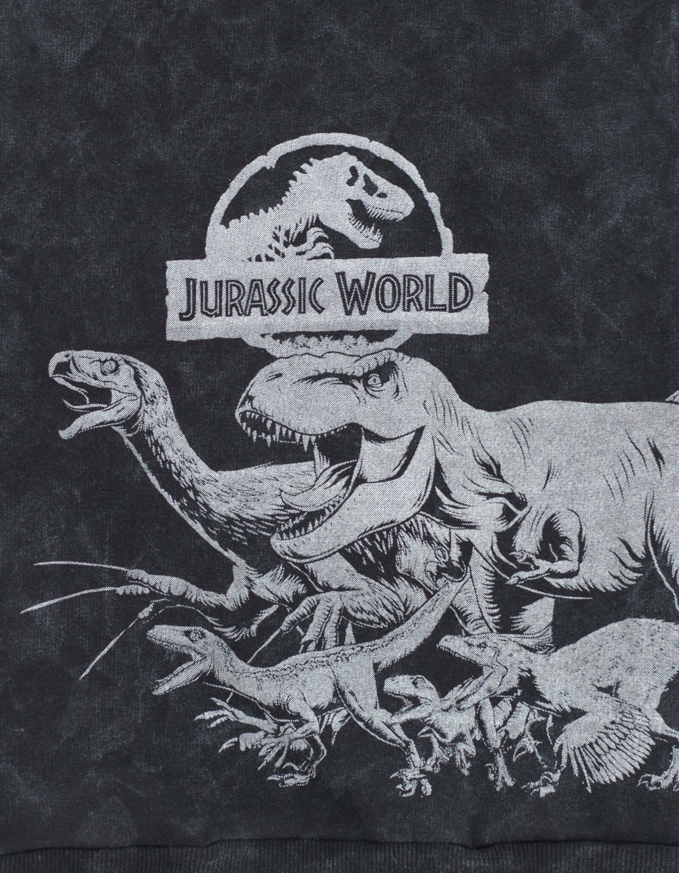 Jurassic World Park Fleece Pullover Hoodie - imagikids