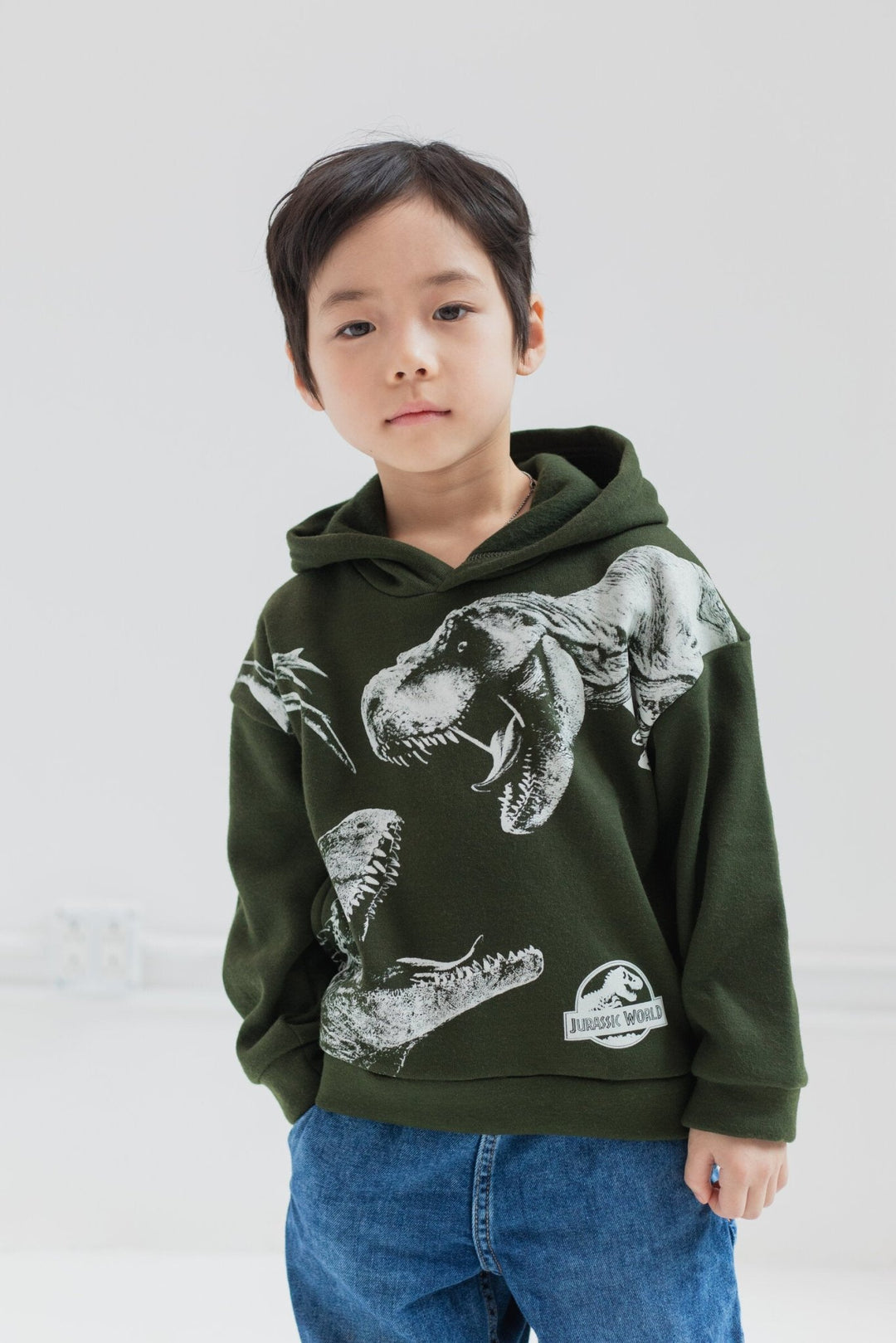 Jurassic World Park T-Rex Fleece Pullover Hoodie - imagikids