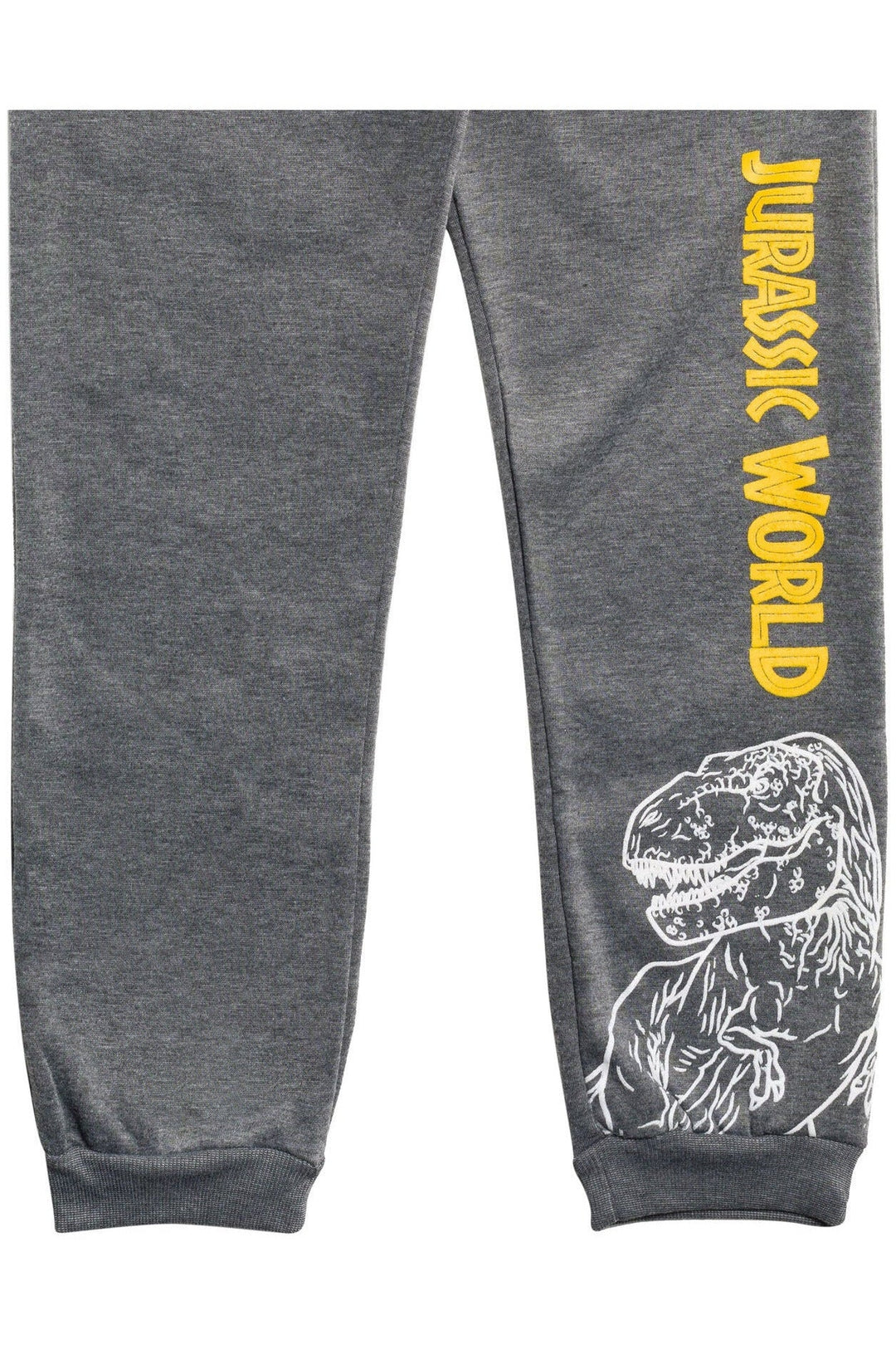 Jurassic World T-Rex Fleece 2 Pack Jogger Pants - imagikids