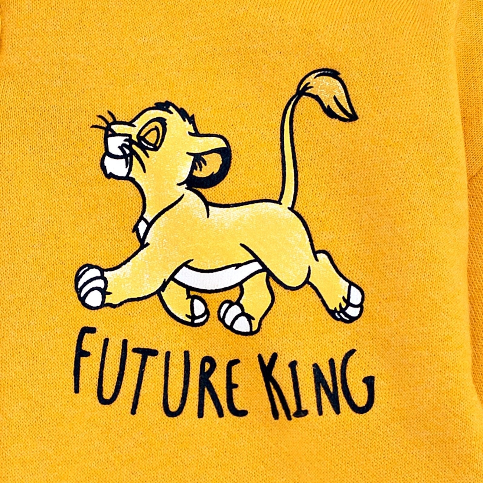Lion King Simba Fleece Zip Up Hoodie – imagikids