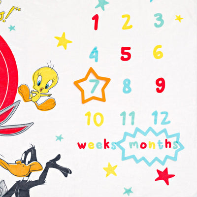 Looney Tunes 4 Piece Monthly Milestone Gift Set - imagikids