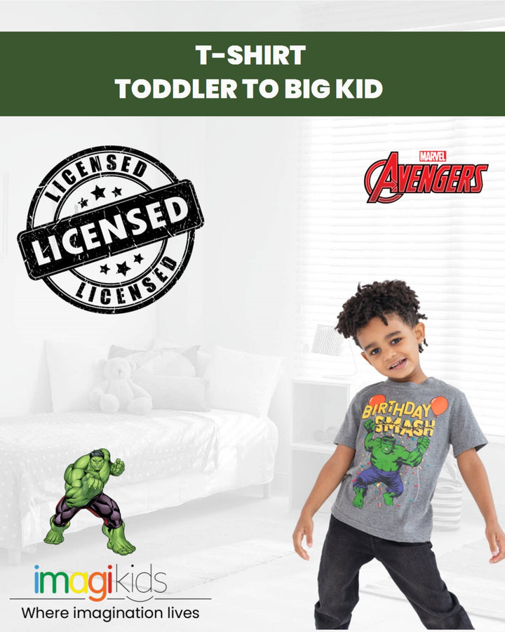 Marvel Avengers The Hulk T - Shirt - imagikids