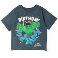 Spidey and His Amazing Friends Hulk Birthday T-Shirt
