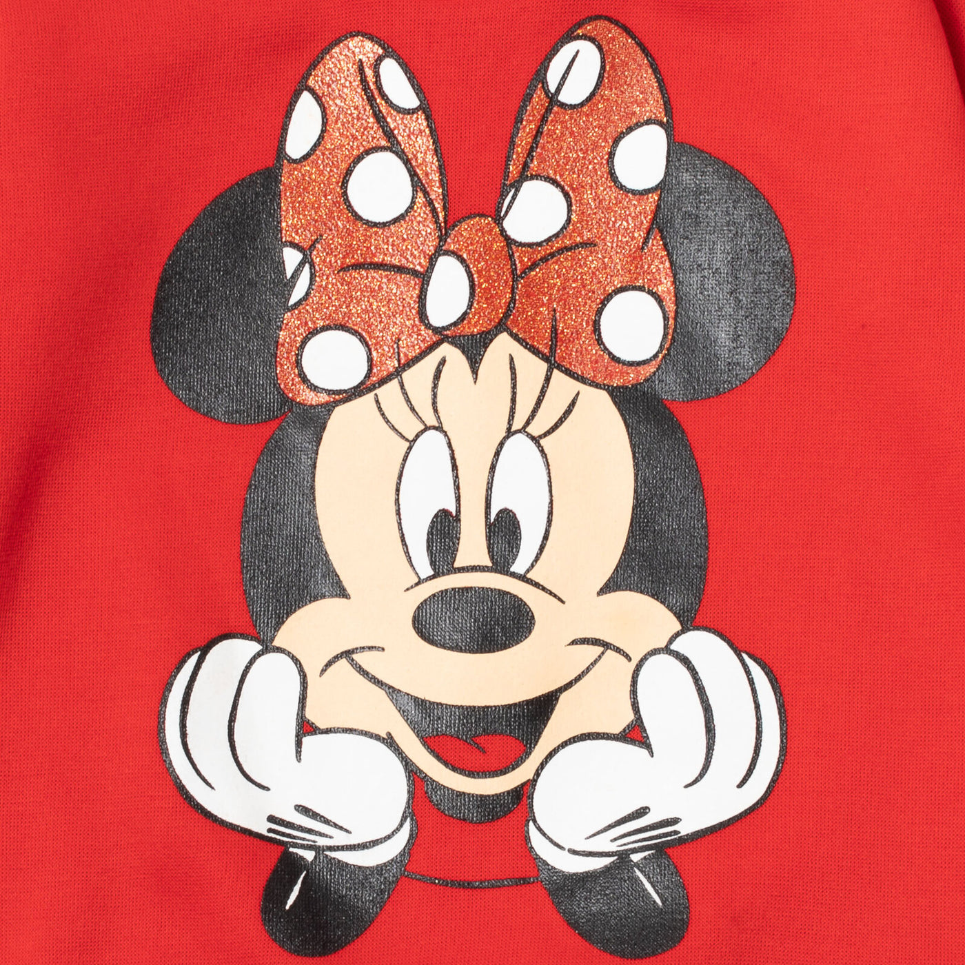 Minnie Mouse Fleece Fashion Pullover Sweatshirt & Pants