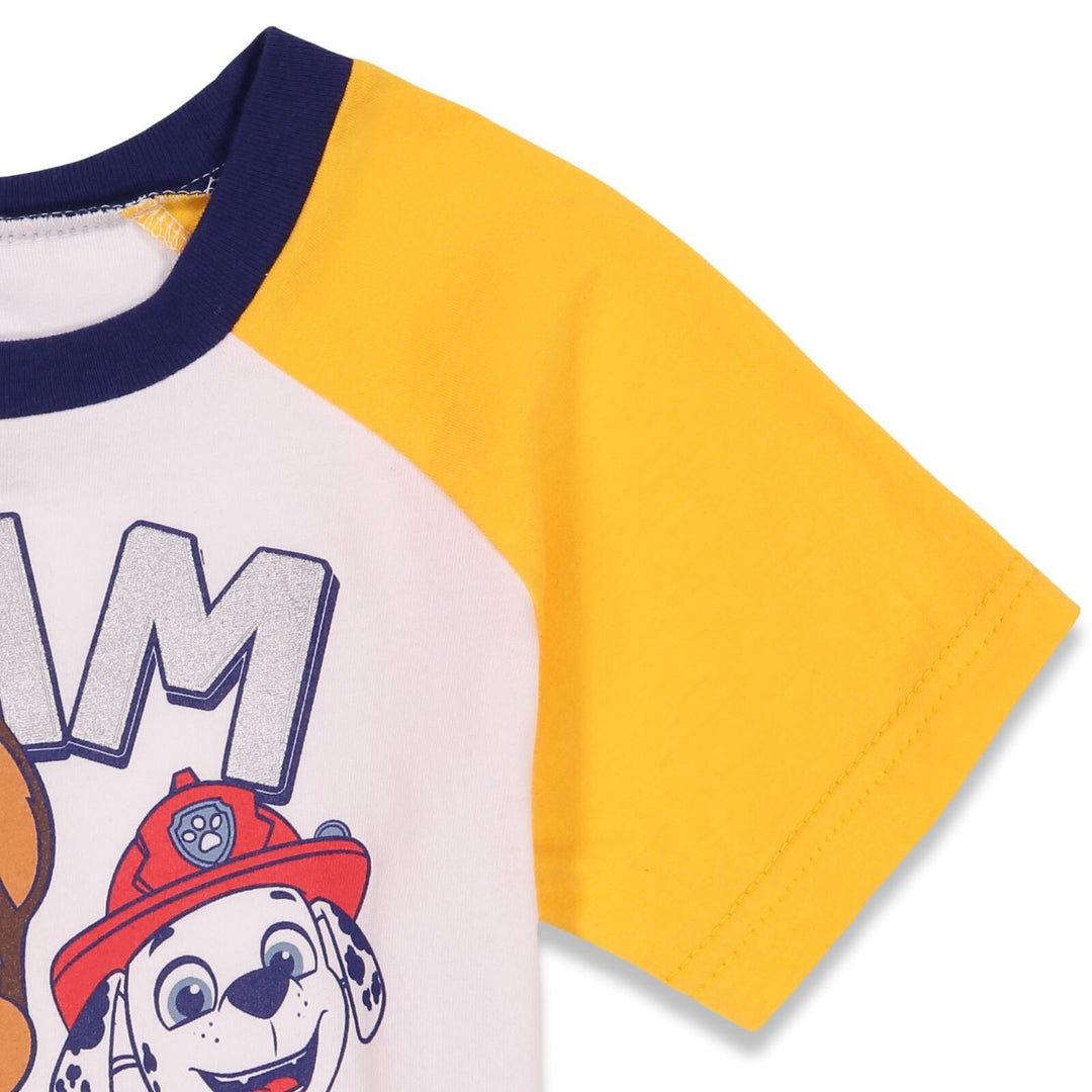 Nickelodeon Paw Patrol Pullover T-Shirt and French Terry Shorts Outfit Set