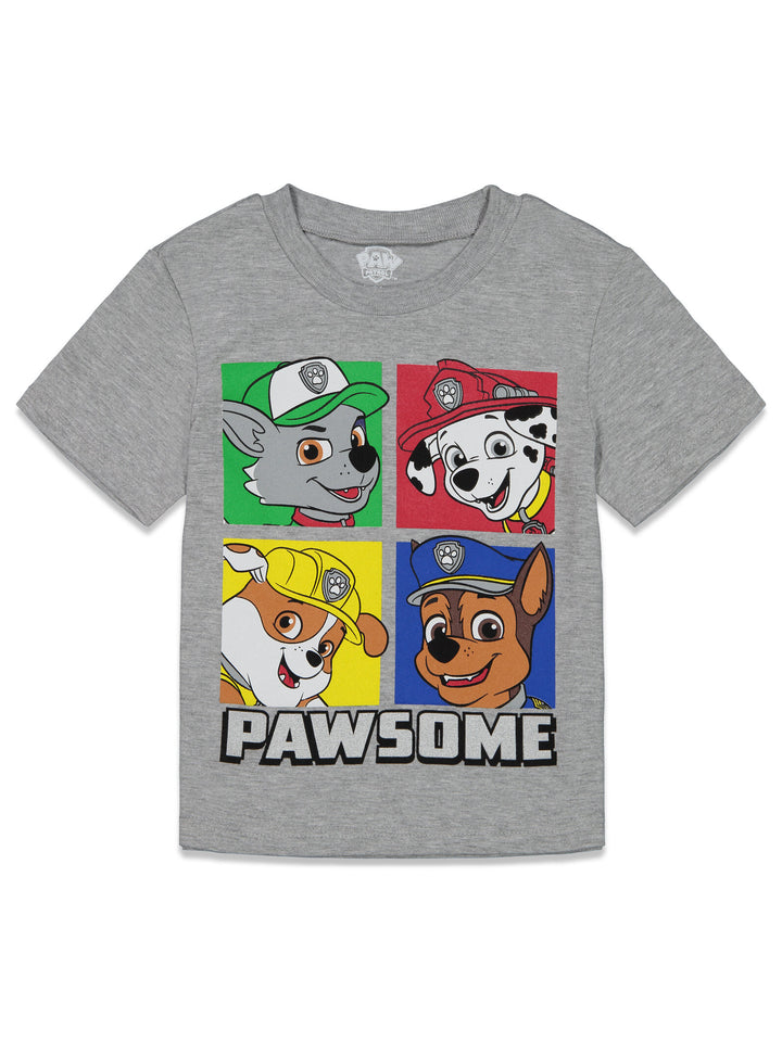 Paw Patrol T-Shirt and Mesh Shorts Outfit Set