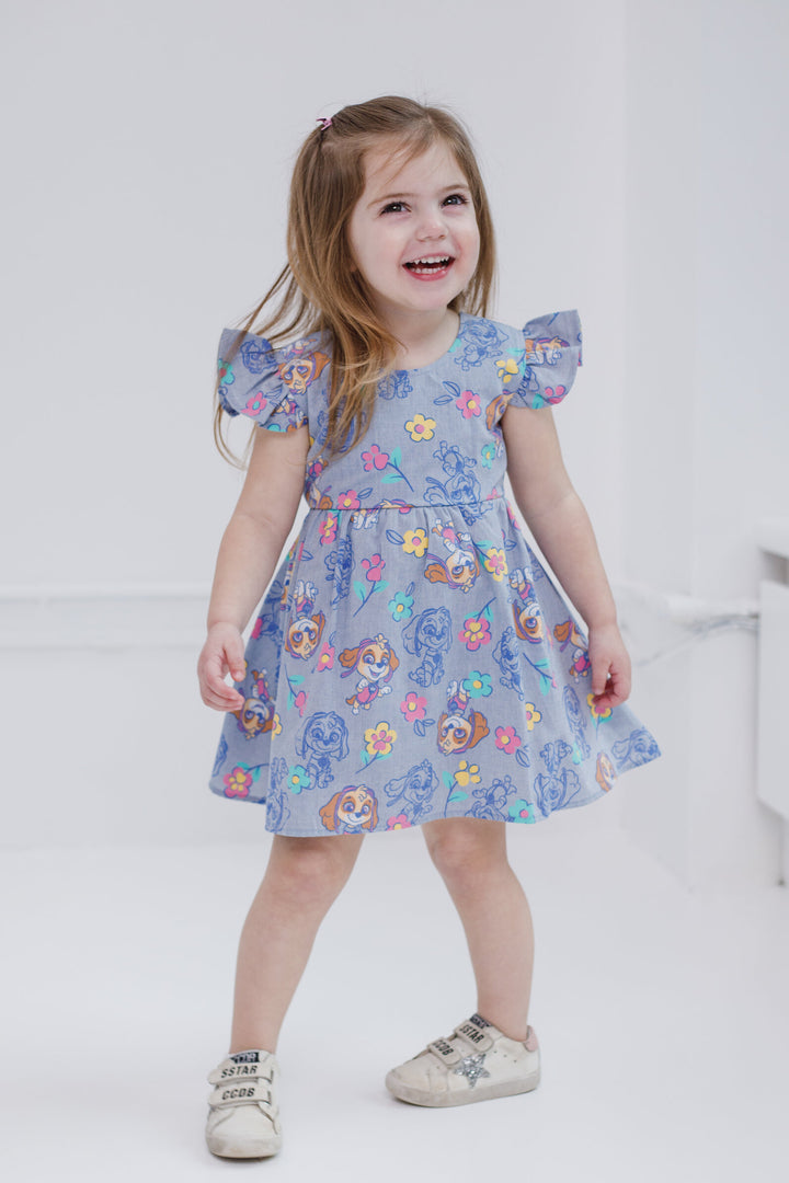 Paw Patrol Skye Chambray Skater Dress