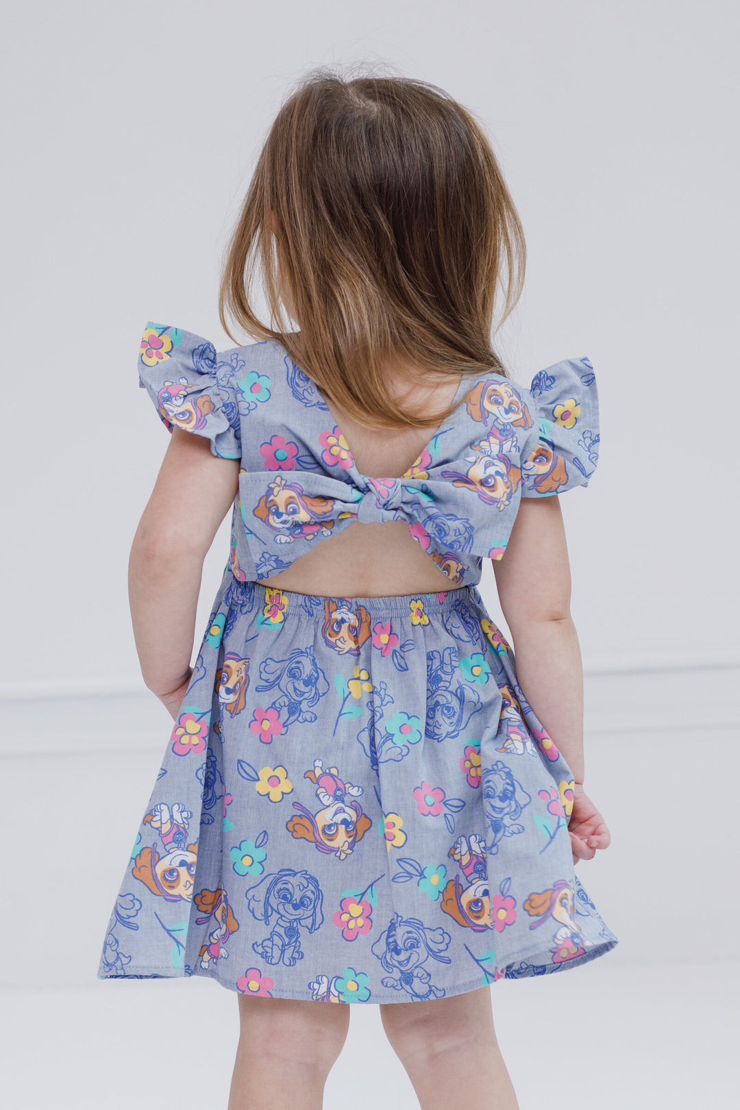 Paw Patrol Skye Chambray Skater Dress