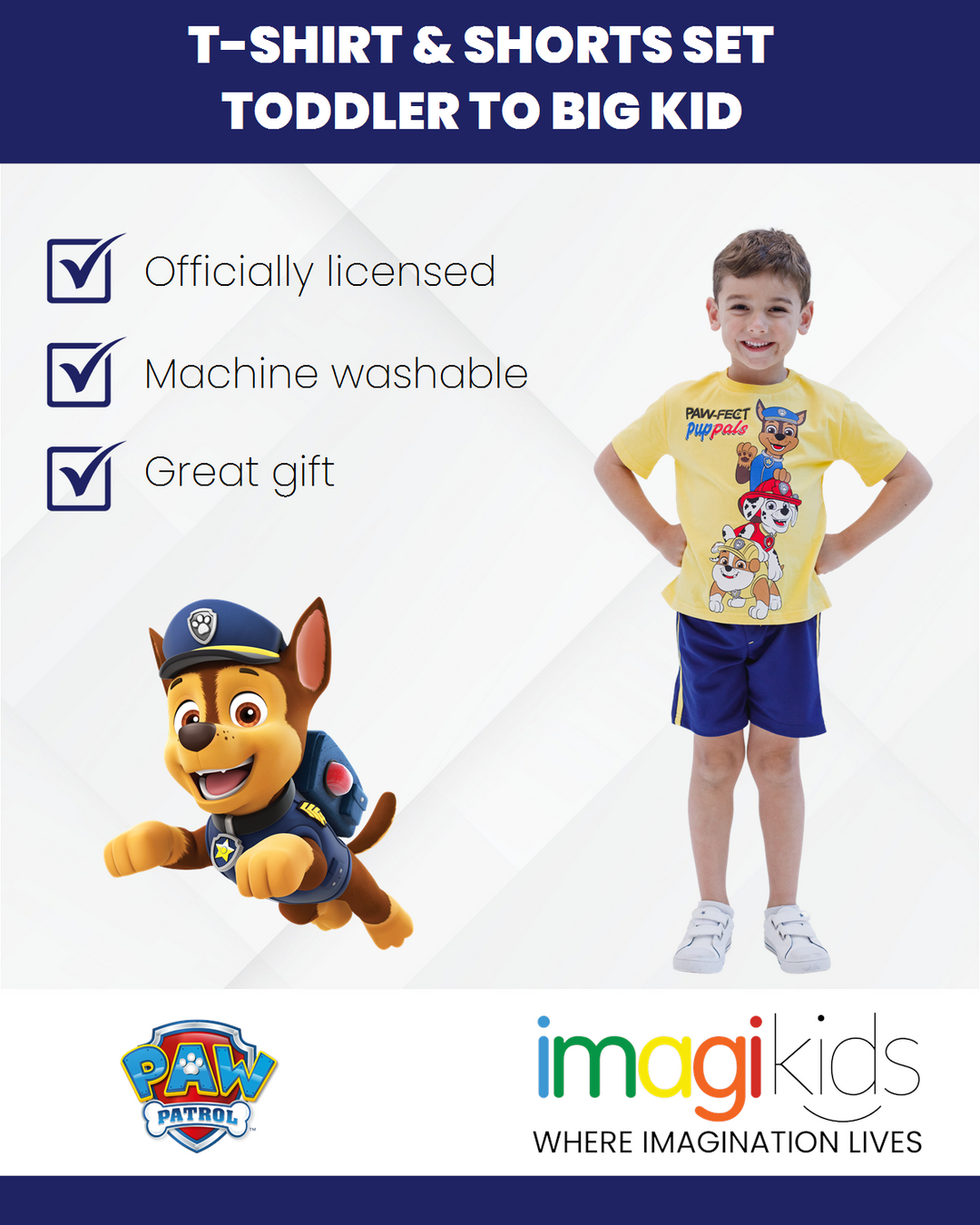 Paw Patrol T-Shirt and Basketball Shorts Mesh Outfit Set