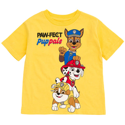 Paw Patrol T-Shirt and Basketball Shorts Mesh Outfit Set