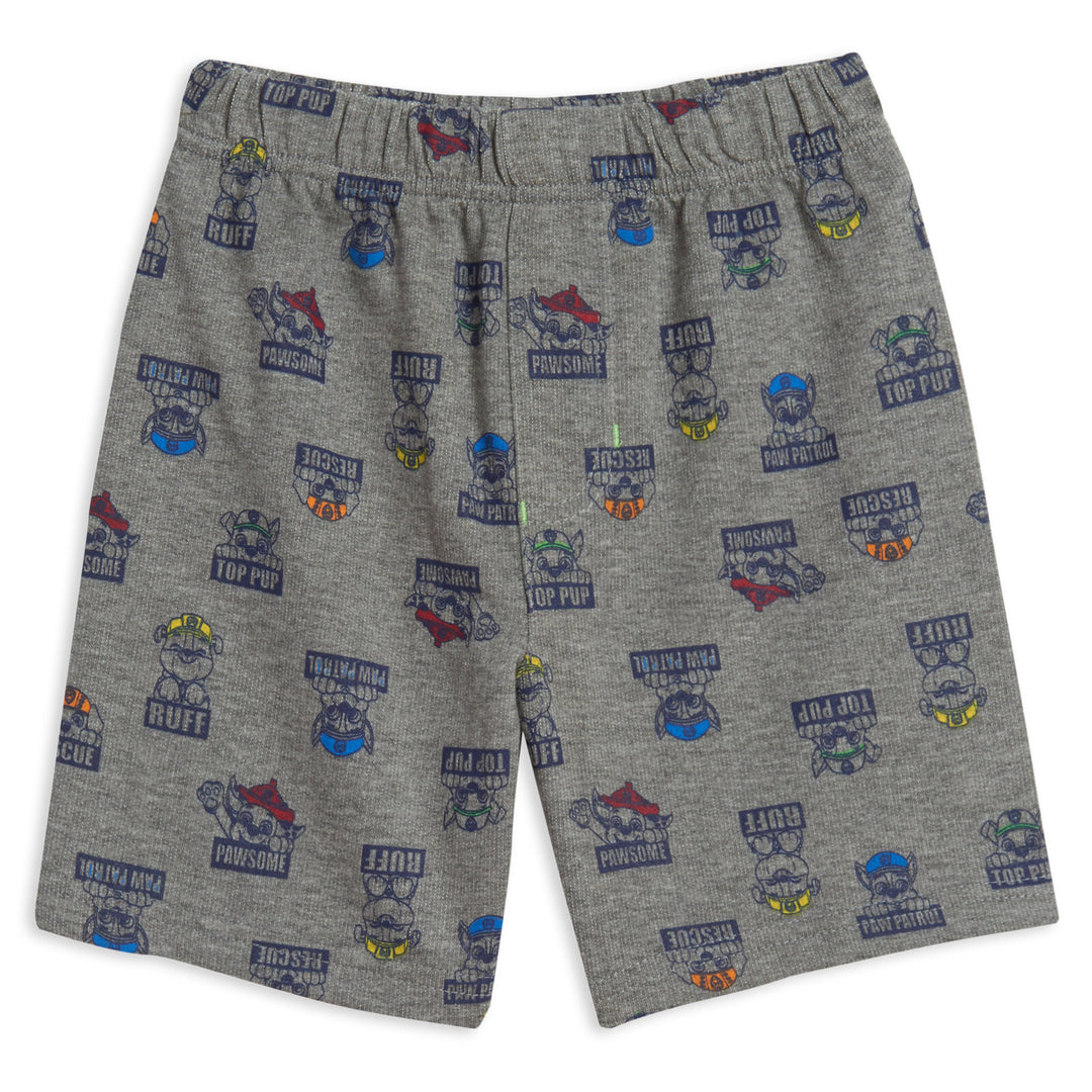 Paw Patrol Graphic T-Shirt & French Terry Shorts