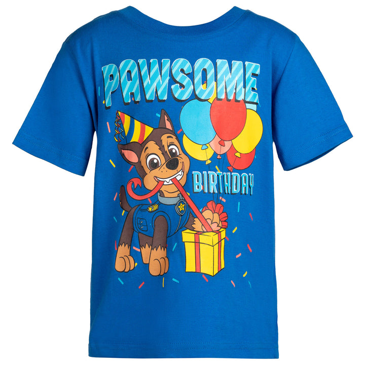 Paw Patrol Graphic T-Shirt